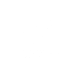 Sales Force Agency